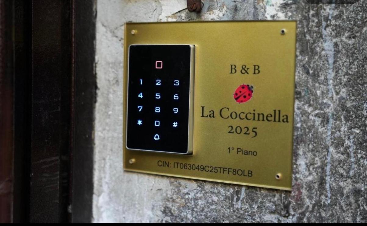 La Coccinella 2025 - 3