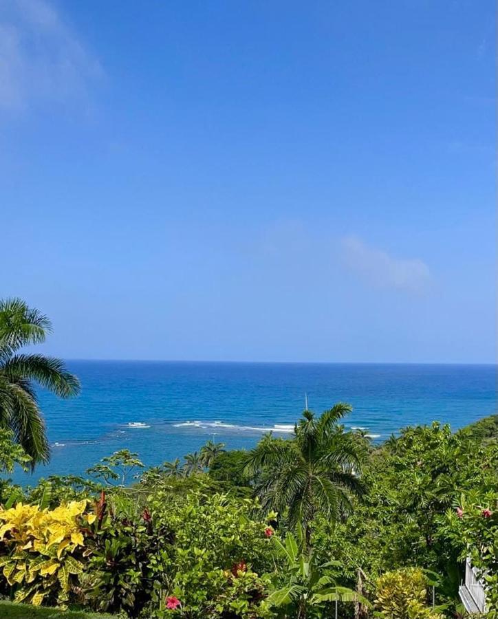 Sandys Oceanview Vacation Villa & Venue- 5-7bd