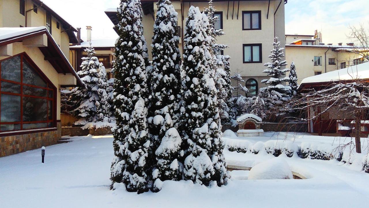 Evelina Palace Hotel photo