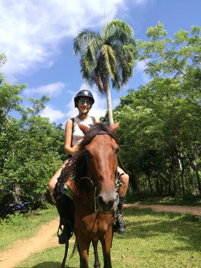 Villa Para Conectar Con La Naturaleza - 5