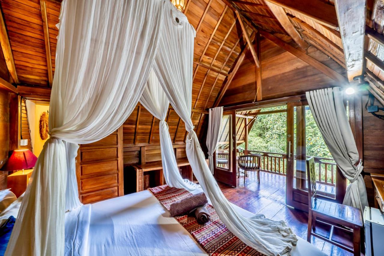 The Jungle Villa - 2