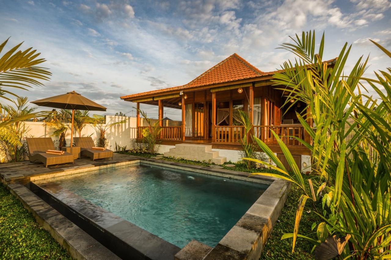 Villa Suda Ubud by Dhananjaya Hospitality - 4