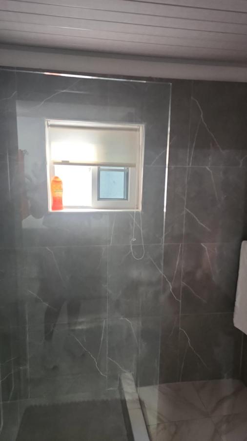 Holiday festivity - 3