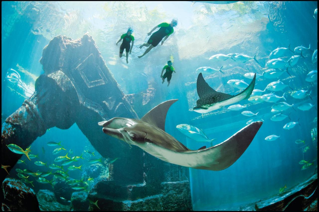 The Royal at Atlantis photo