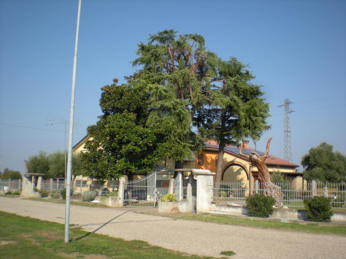 Camere Solidea photo