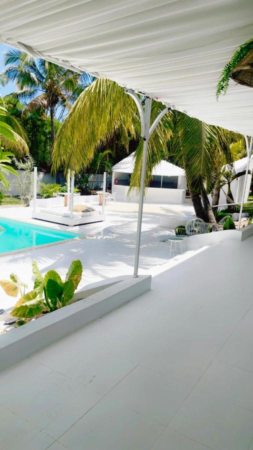 Cocoon Signature - 4