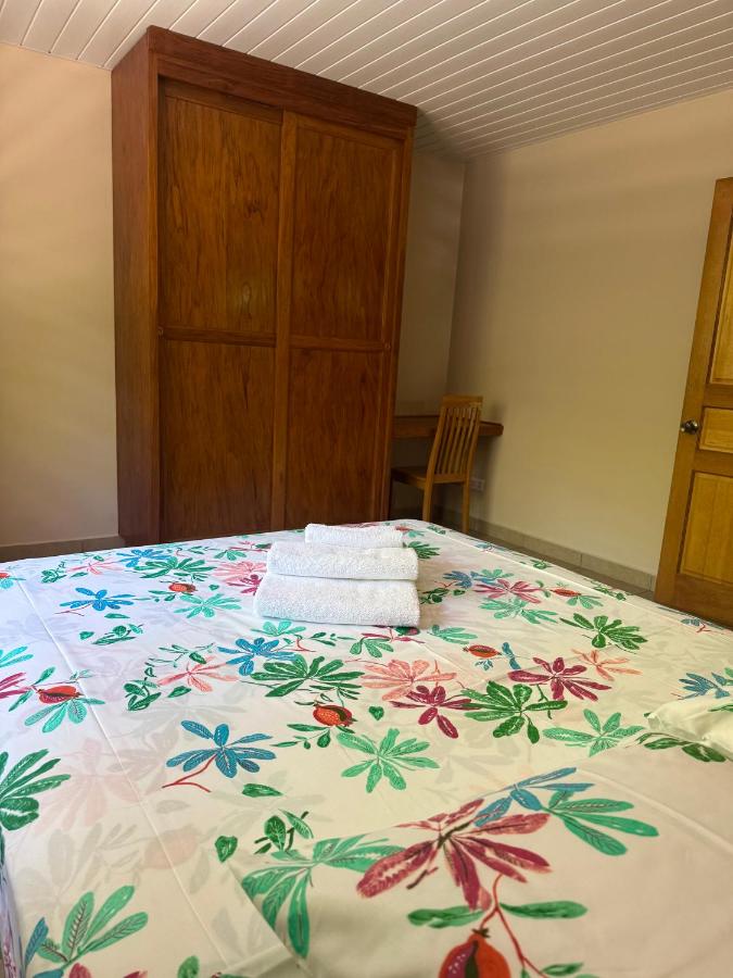 Rainforest Valley - 3