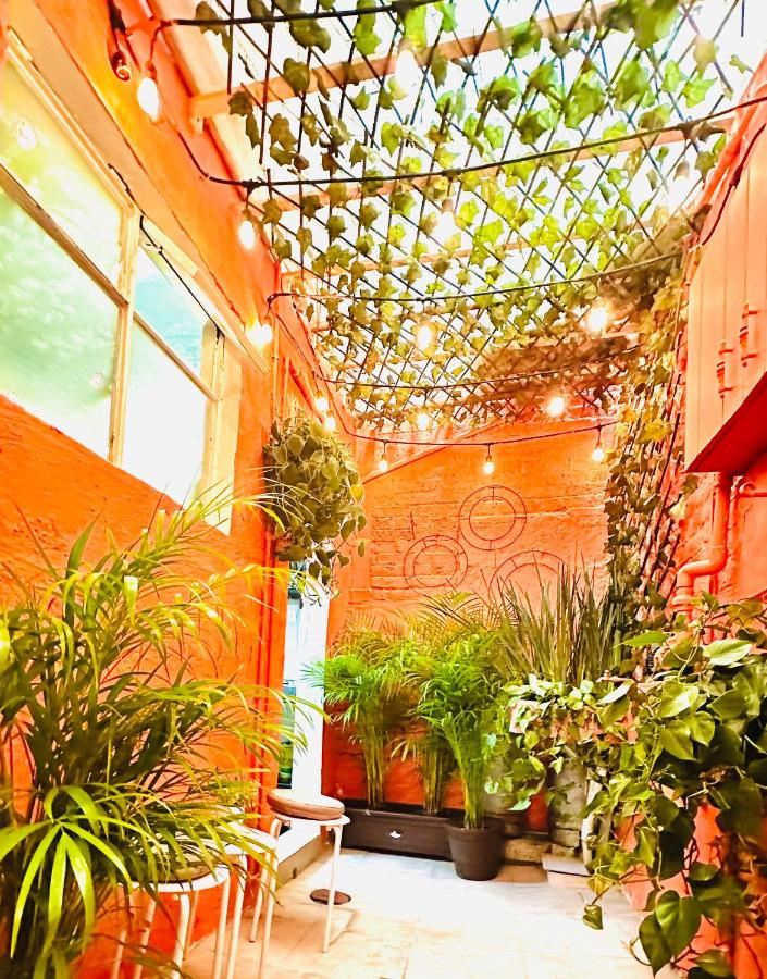 The Simple Life - Tiny Home in Roma Sur - 5