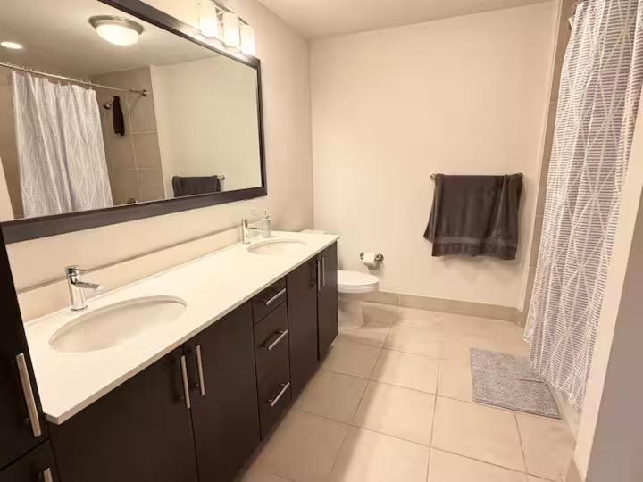 Downtown Austin 2 Bedroom & Sofa Bed Apartment Near Rainey Street and Lady Bird Lake - 3
