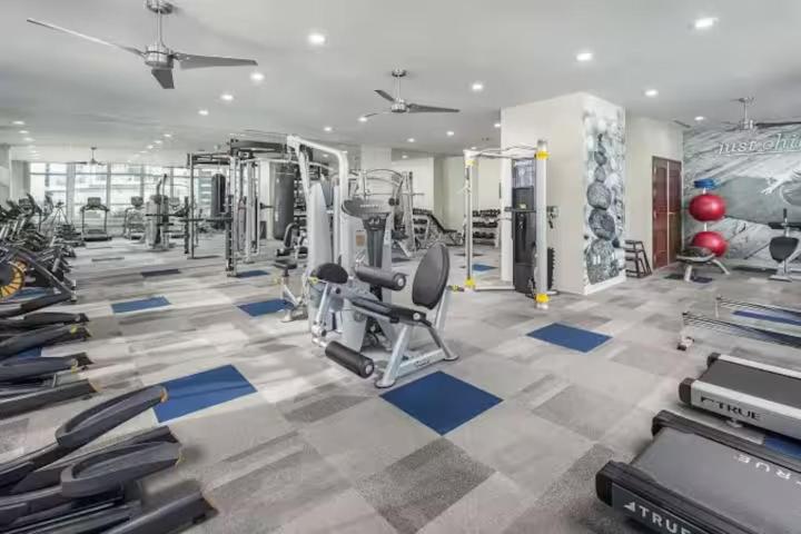 Downtown Austin 2 Bedroom & Sofa Bed Apartment Near Rainey Street and Lady Bird Lake - 5