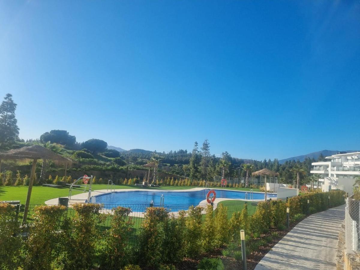 Palm Forest Oasis - 2