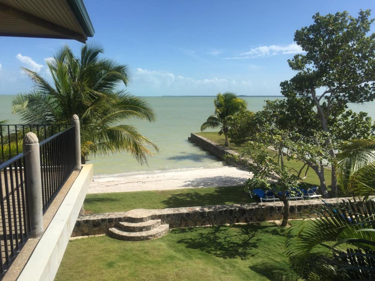 Beach: Almond Tree Hotel Resort