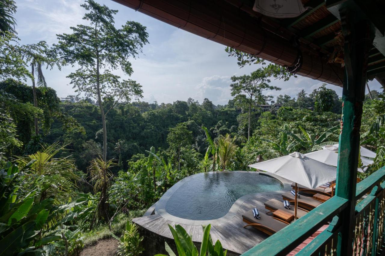 Sokwayah Jungle Villas & Retreat