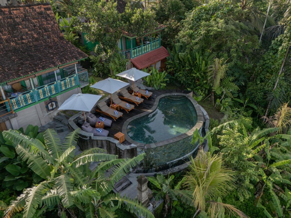 Sokwayah Jungle Villas & Retreat - 4