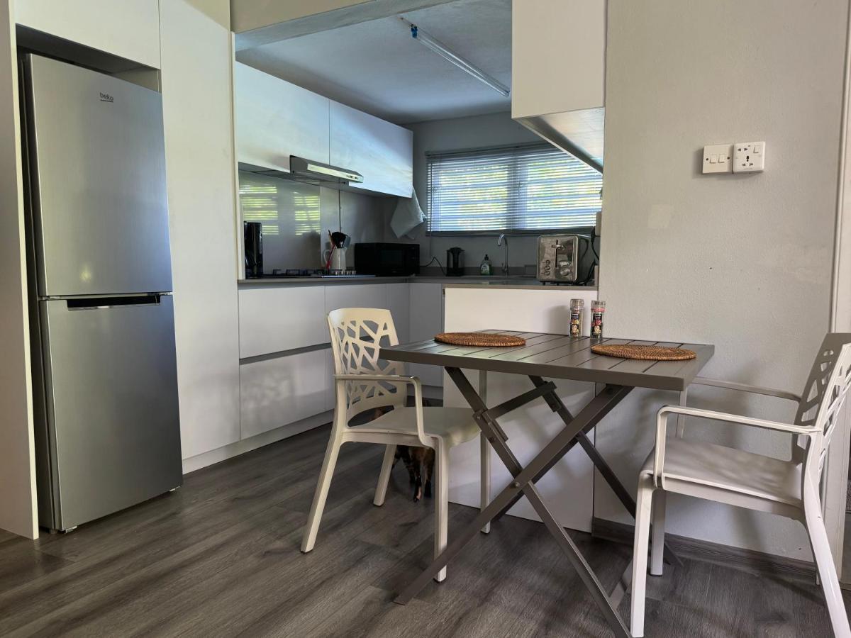 Spacious basement studio in tranquil nook - 3