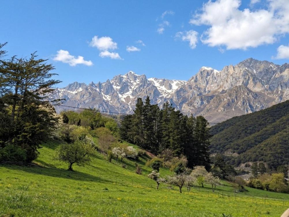 Picos de Europa Suites and Rooms - imagen 4