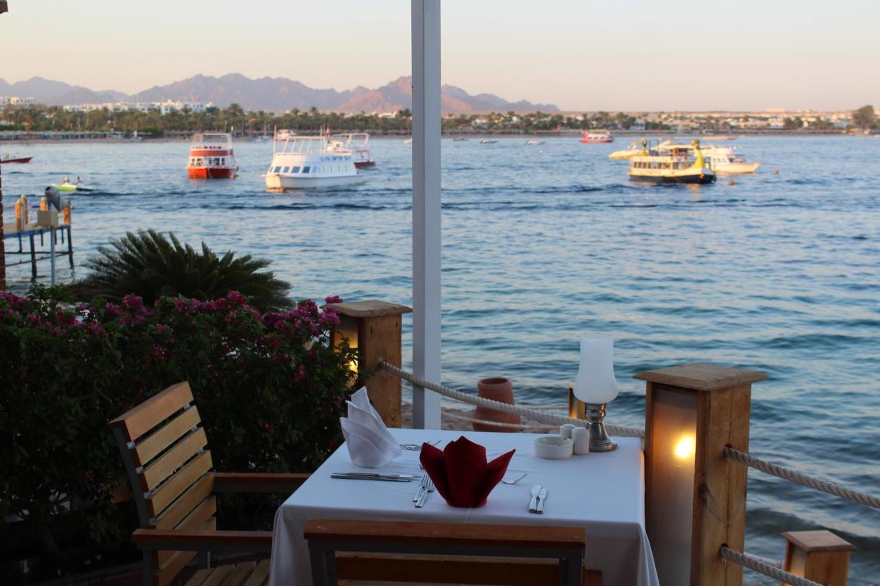 Lido Sharm Hotel Naama Bay photo