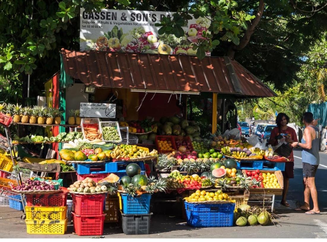 Central Coastal Apartment Pereybere - 3