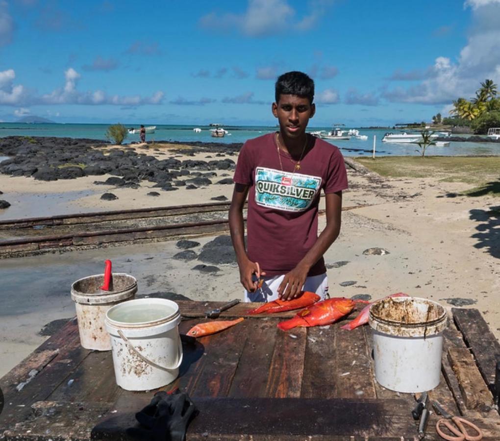 Central Coastal Apartment Pereybere - 4