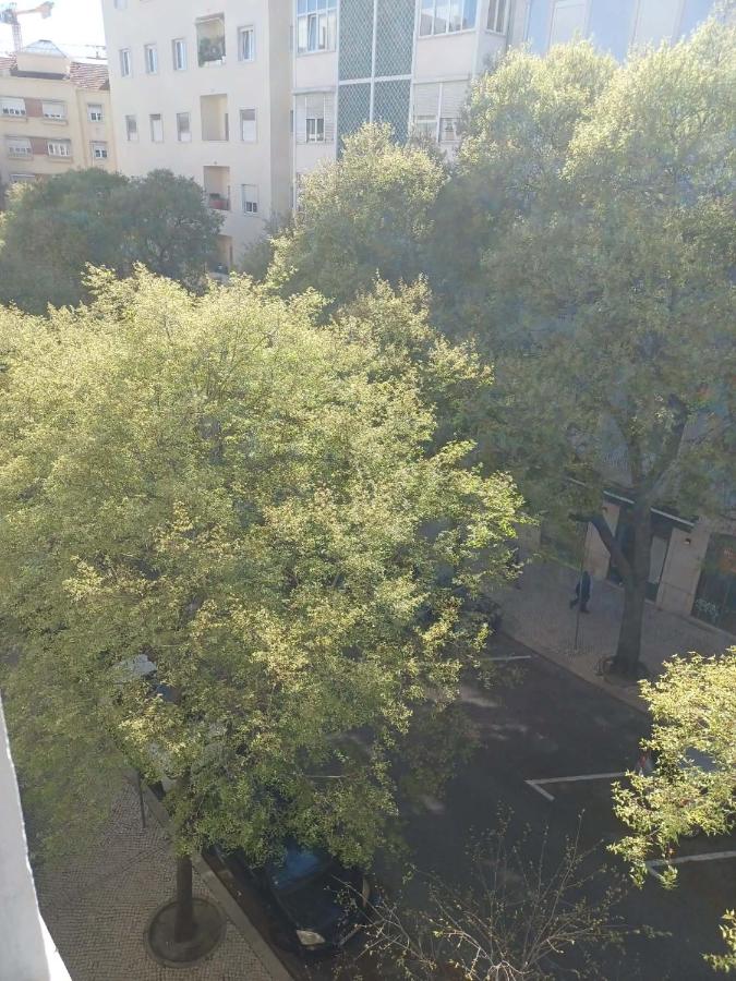 Urban nest guest house,lisbon - 4