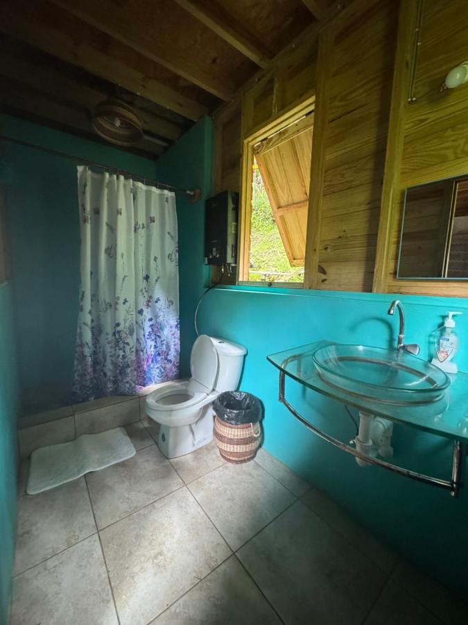 Roots Jungle Retreat - 3