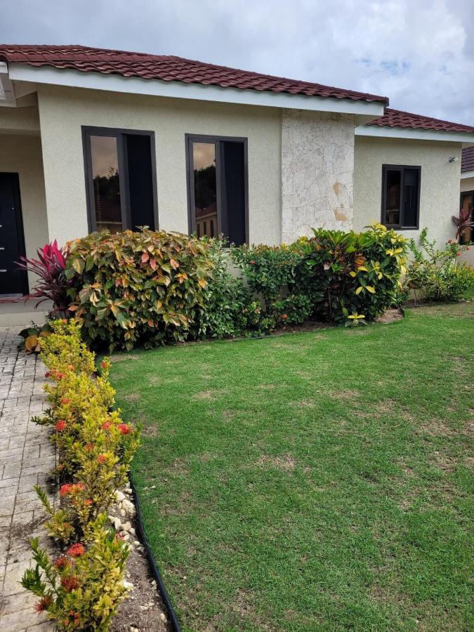 Hidden Treasures - 5