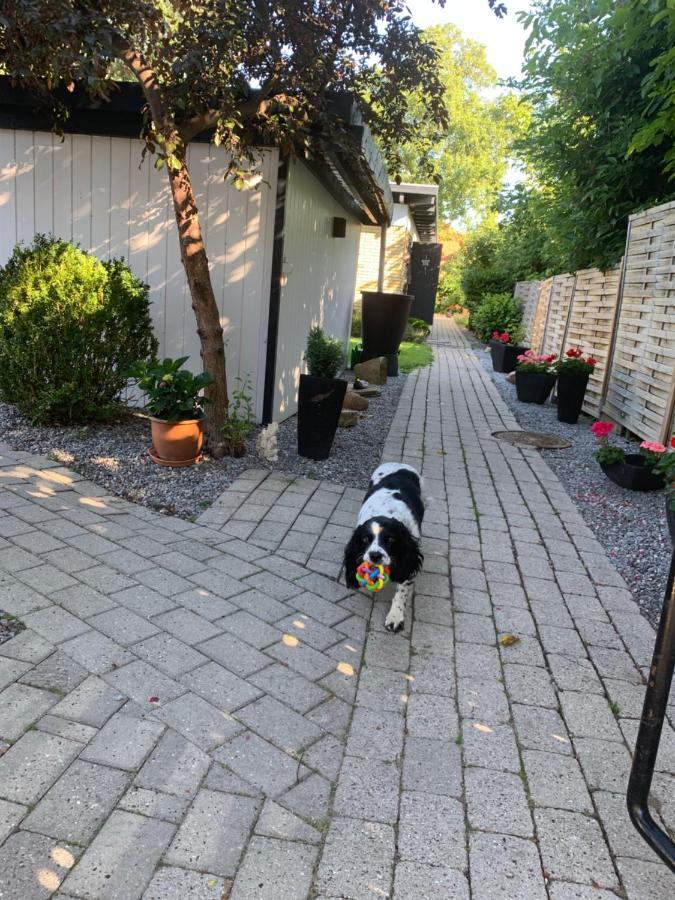 Spacious basement apartment in Hellerup, sleeps 4 - 2