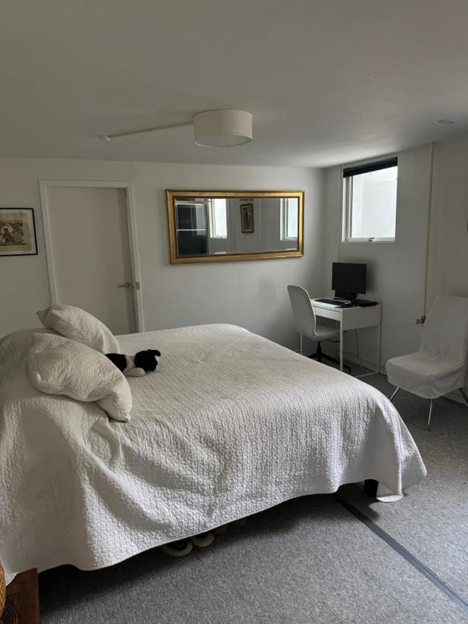 Spacious basement apartment in Hellerup, sleeps 4 - 3