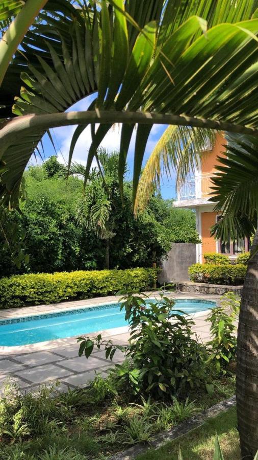 Villa Vieux Moulin - 3