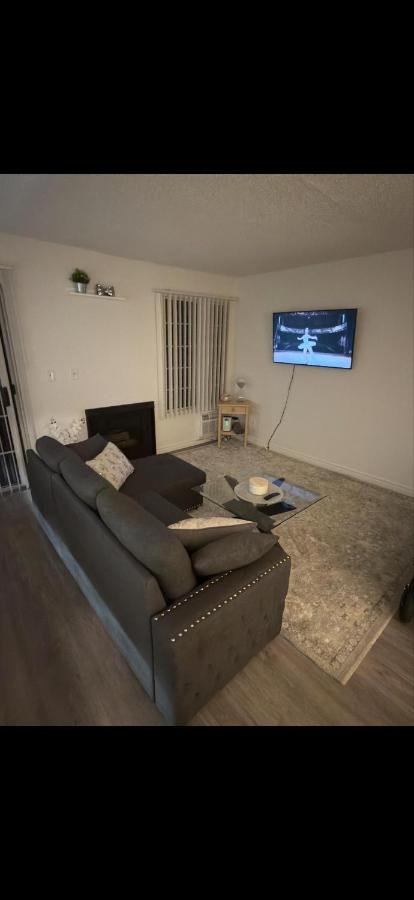 Cozy 2BD2BA in Heart of Venice - 5