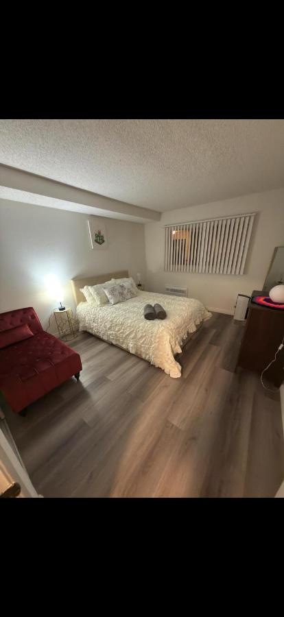 Cozy 2BD2BA in Heart of Venice - 2