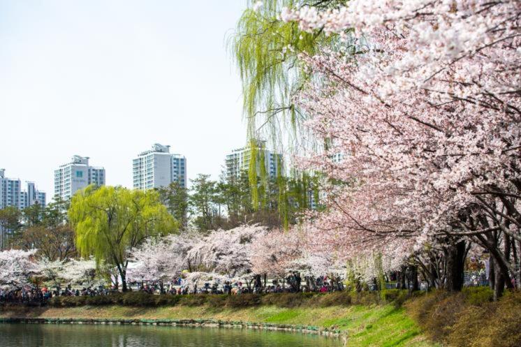 Jamsil Noblestay Hotel - 4