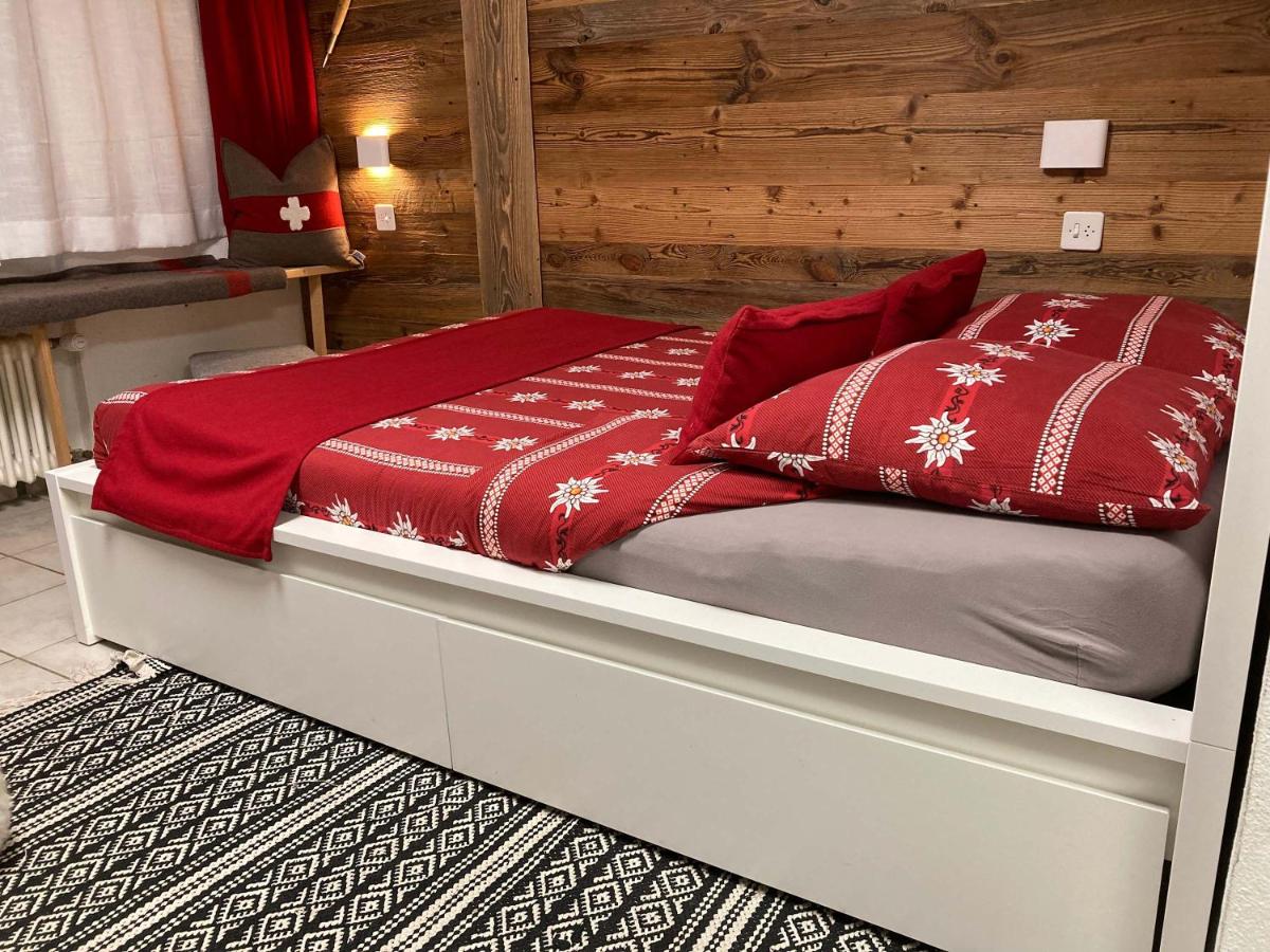 House St-George Studio Alpine with terrace and view on village - 5