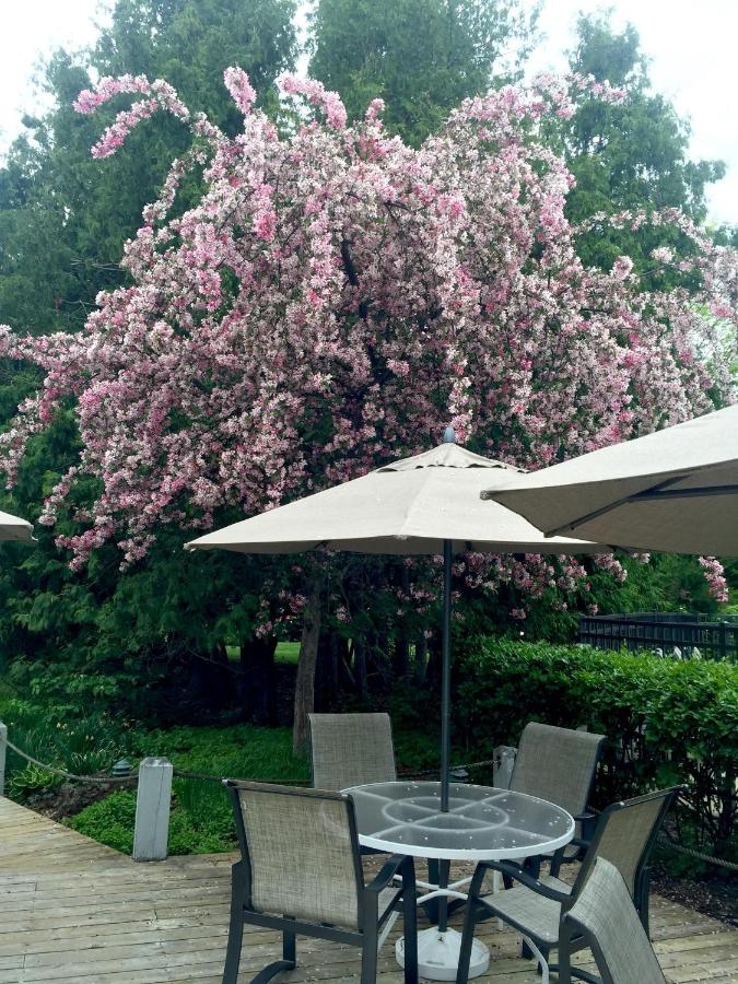 Country House Resort — photo 17