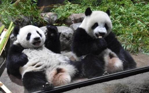 -Park Higashiueno302- Within walking distance of Asakusa Station and Akihabara Station! - 2