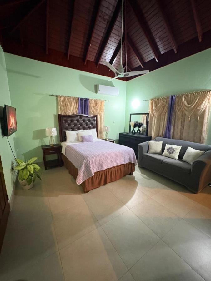 White House by White River - 2