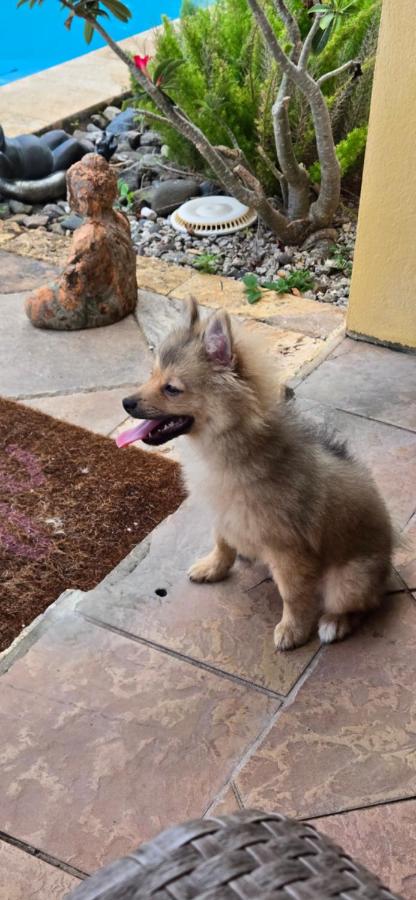 Exotic Paradise Guest House - 2