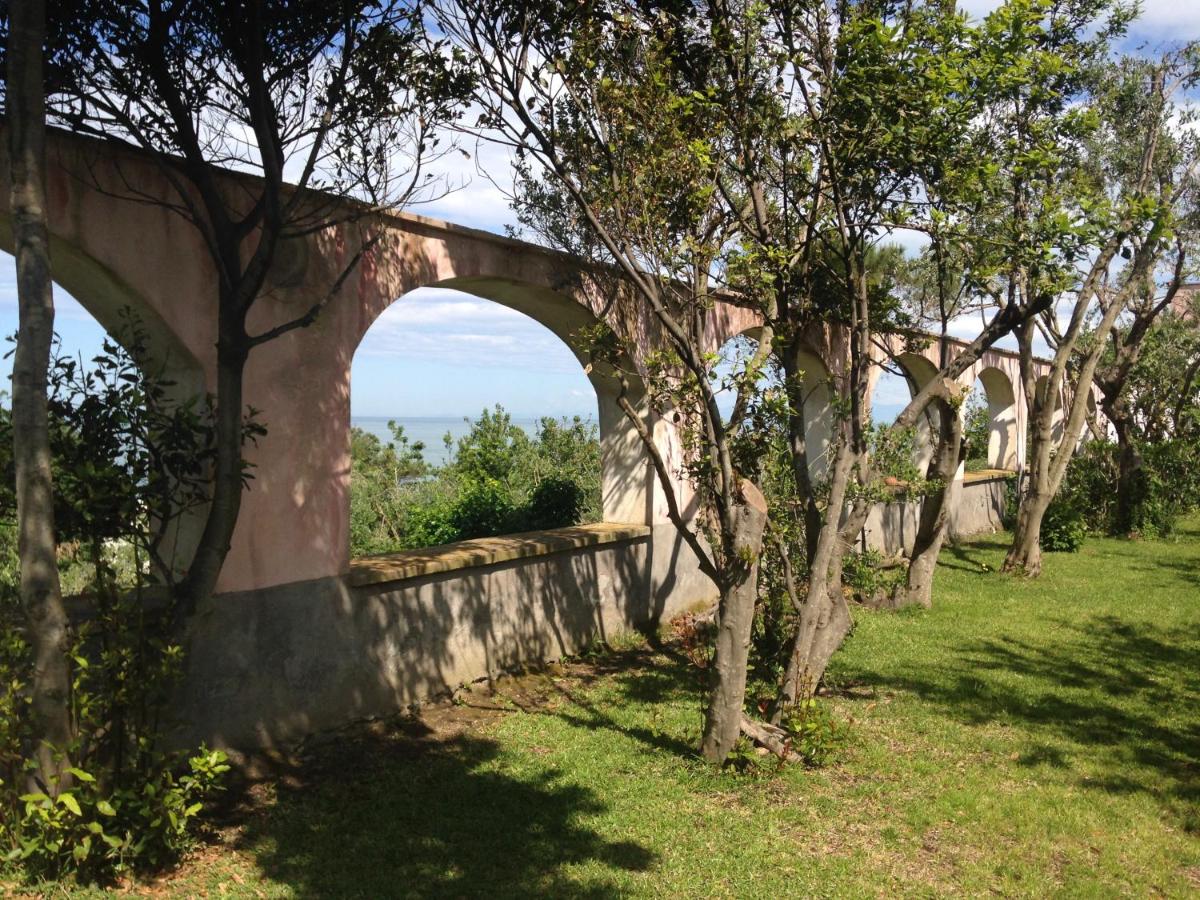 La rosa dei venti photo