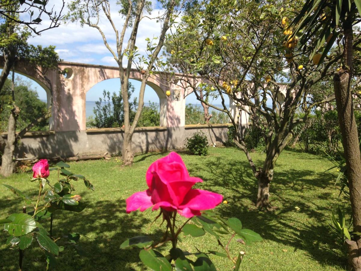 La rosa dei venti photo