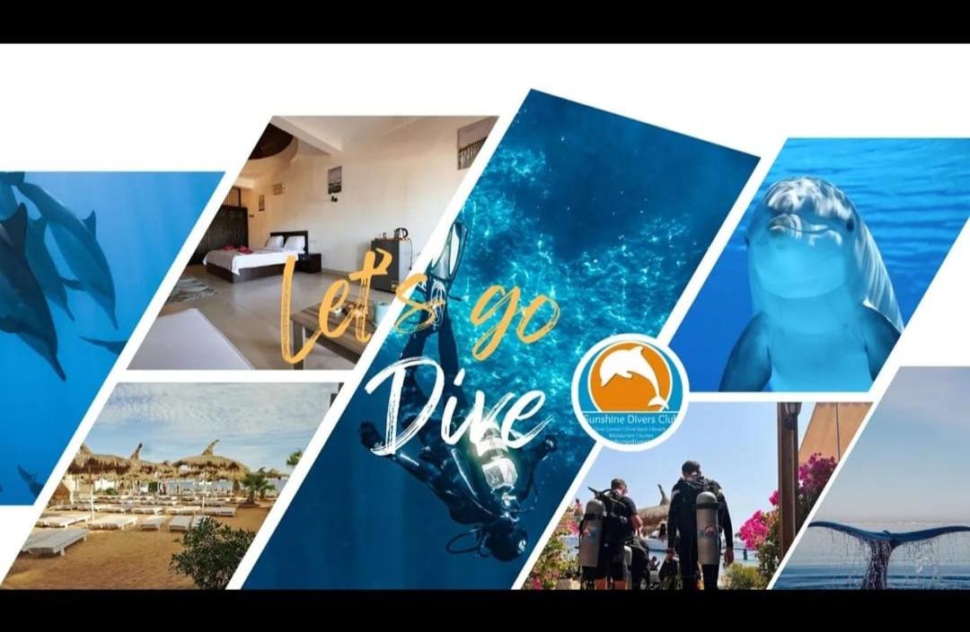 Image: SunshineDiversClub - Sharks Bay