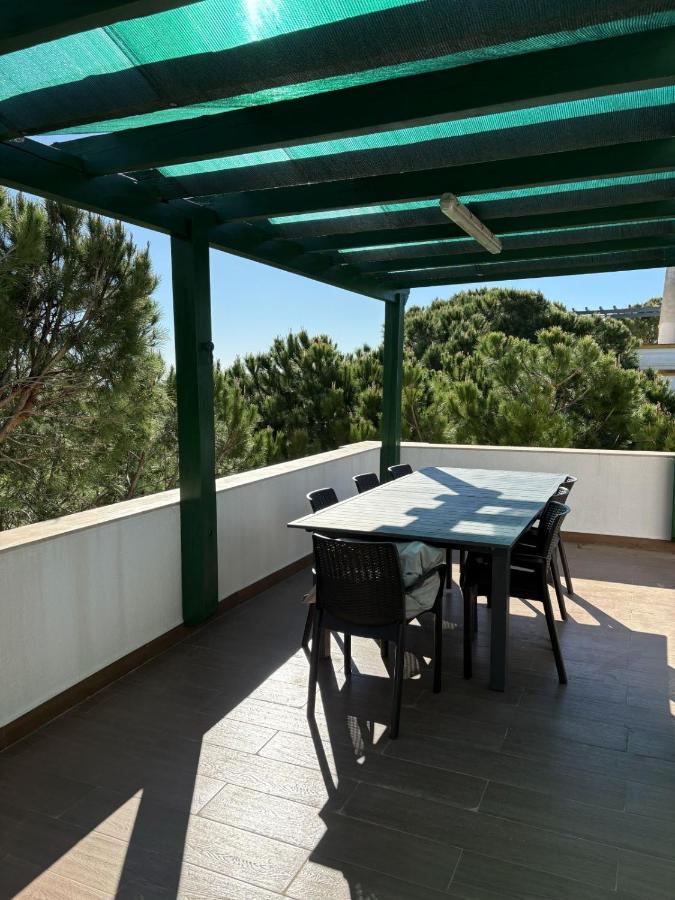 V4 Praia Verde - 8 to 11 People, 5 min beach walk - 5