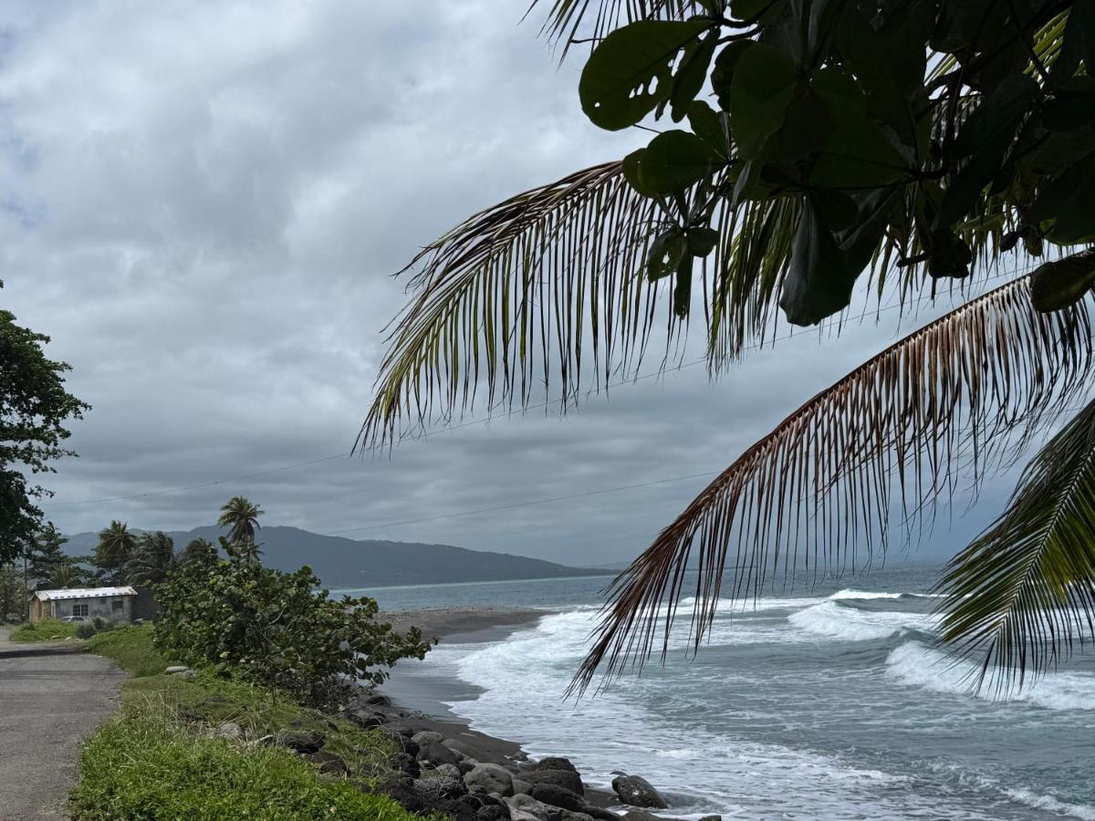 Kelsey's Kastle Portland Jamaica - 5