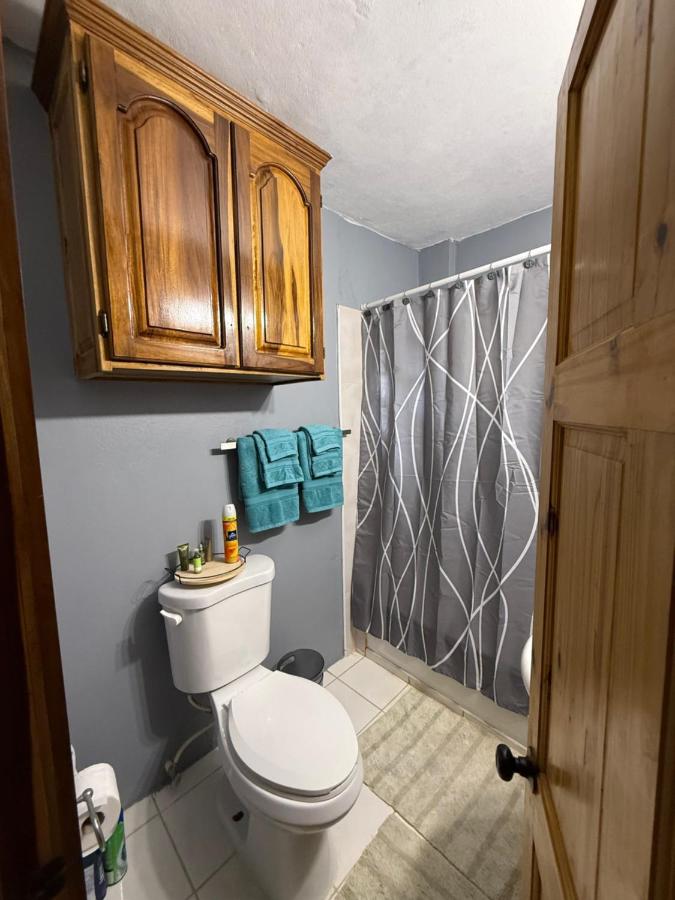 Portland Jamaica! Green and Lush! Volcano and Falls Yes! - 3