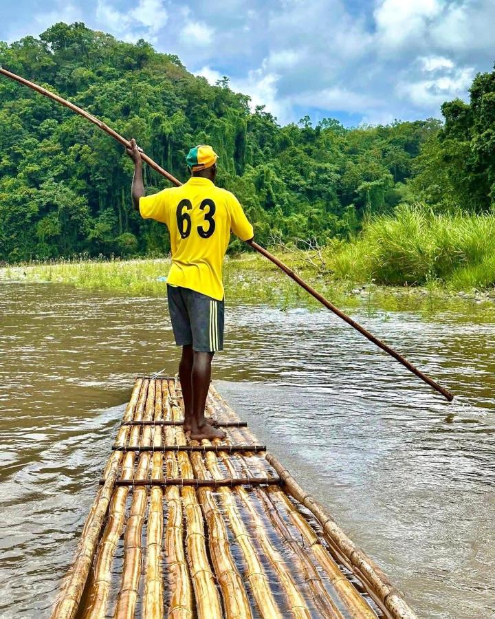 Real Jamaica - 5 Cabins right beside the sea - 2