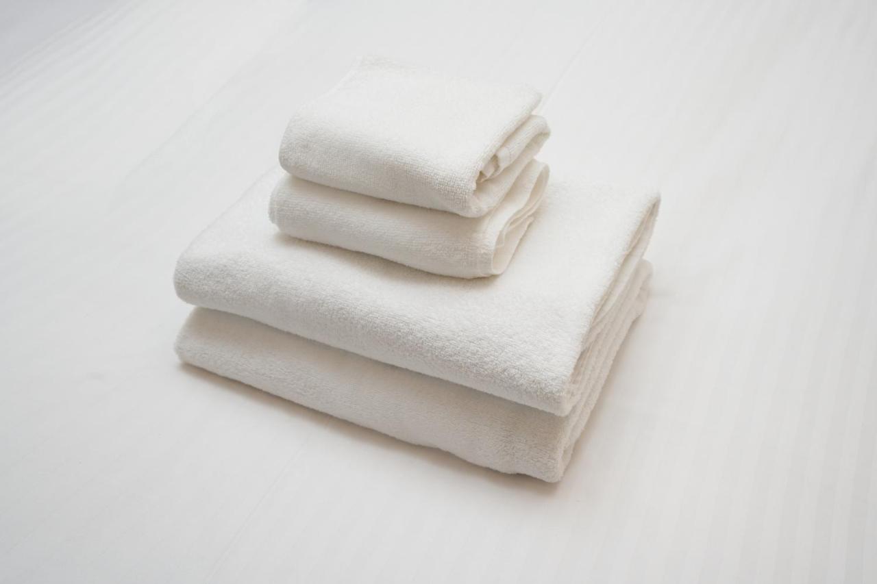 NplusHOTELhigasiasakusa - 3