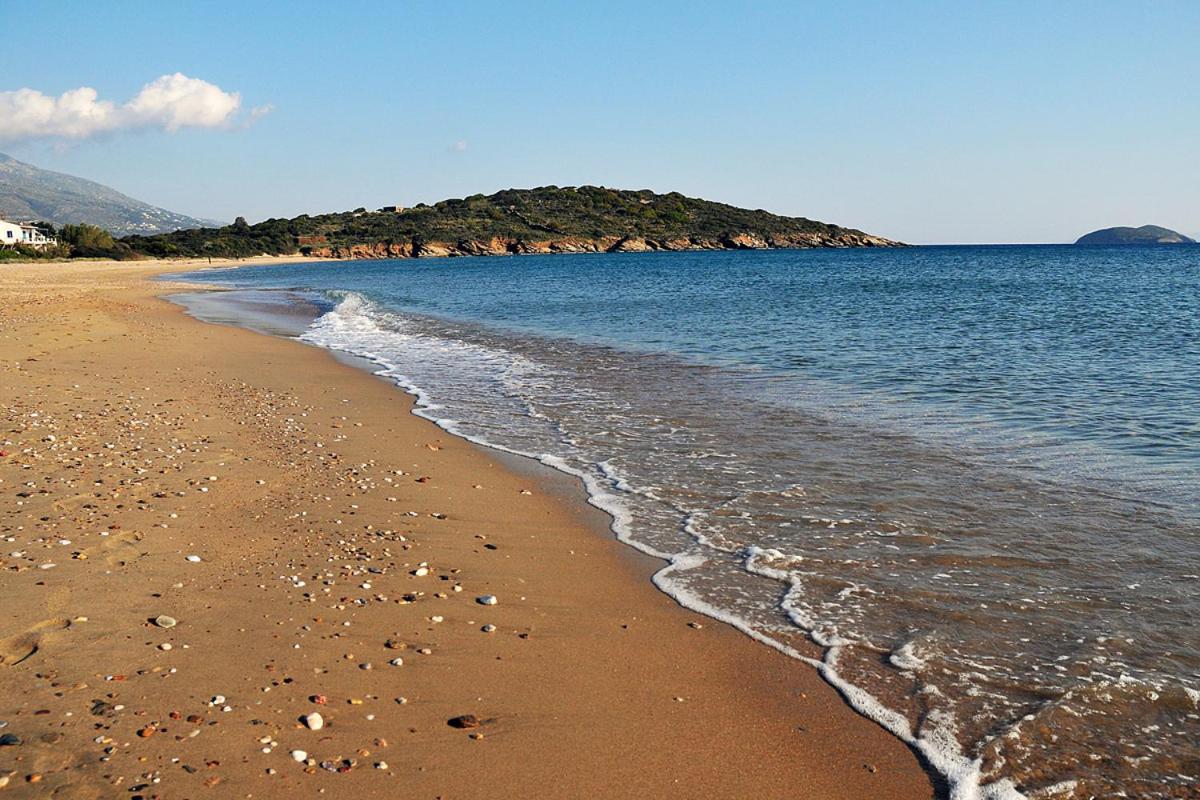 Beach: Aithra -Agios Petros Andros
