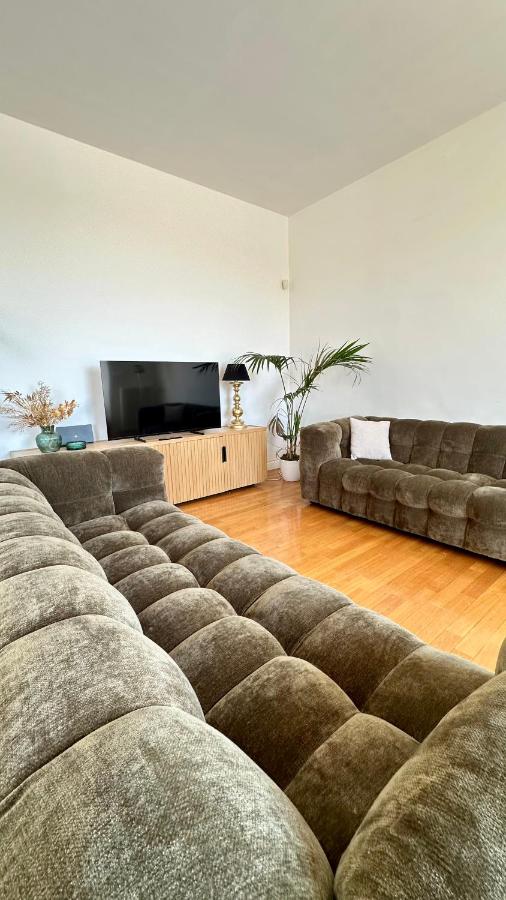 Colosseo Deluxe YH - 5