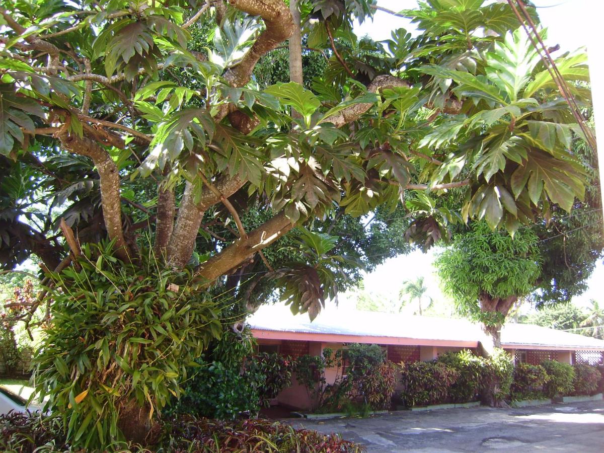 Angler Apartments photo