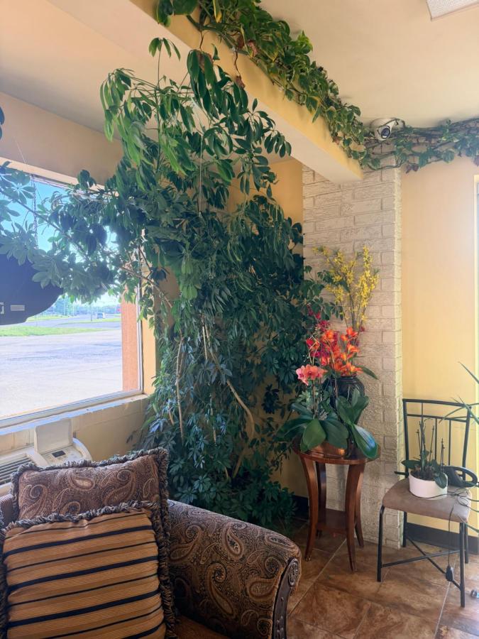 Regal Inn — photo 9