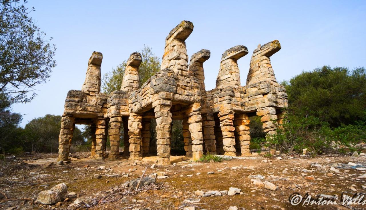 Residencia Santiago Mallorca - 5